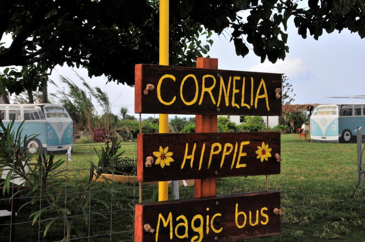 Cornelia Hippie Magic Bus Villa Kíszamosz Kültér fotó