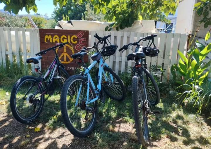 Cornelia Hippie Magic Bus Villa Kíszamosz Kültér fotó