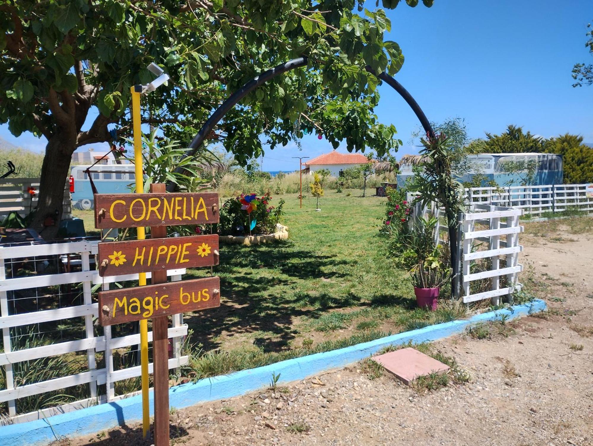 Cornelia Hippie Magic Bus Villa Kíszamosz Kültér fotó